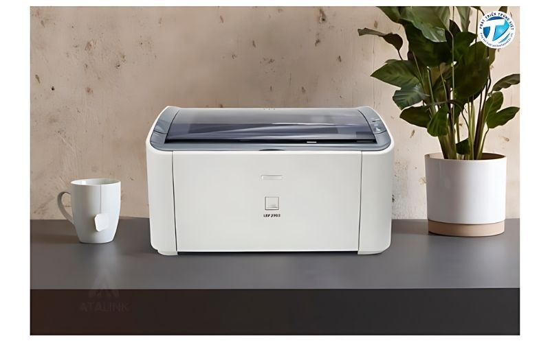 Máy in Canon 2900 cũ vẫn có khả năng chịu tải cao